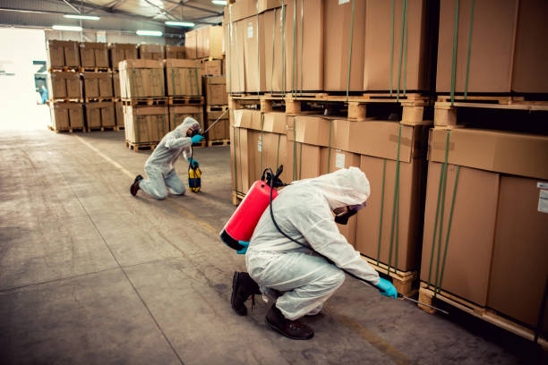 Trusted Nowthen, MN Pest Control Experts
