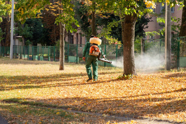 Best Best Pest Control Companies  in Nowthen, MN