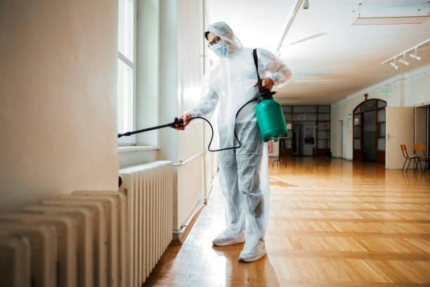 Best Best Pest Control Companies  in Nowthen, MN